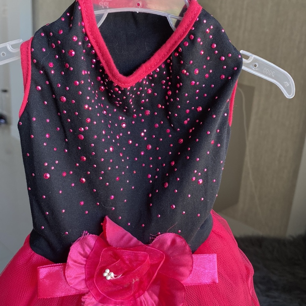 Dog Dress Black and Fuchsia. Size M - Picture 9 of 13